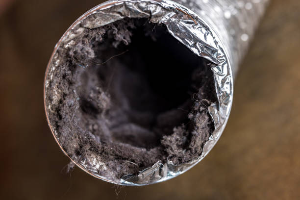 Professional Airduct Cleaning in LA